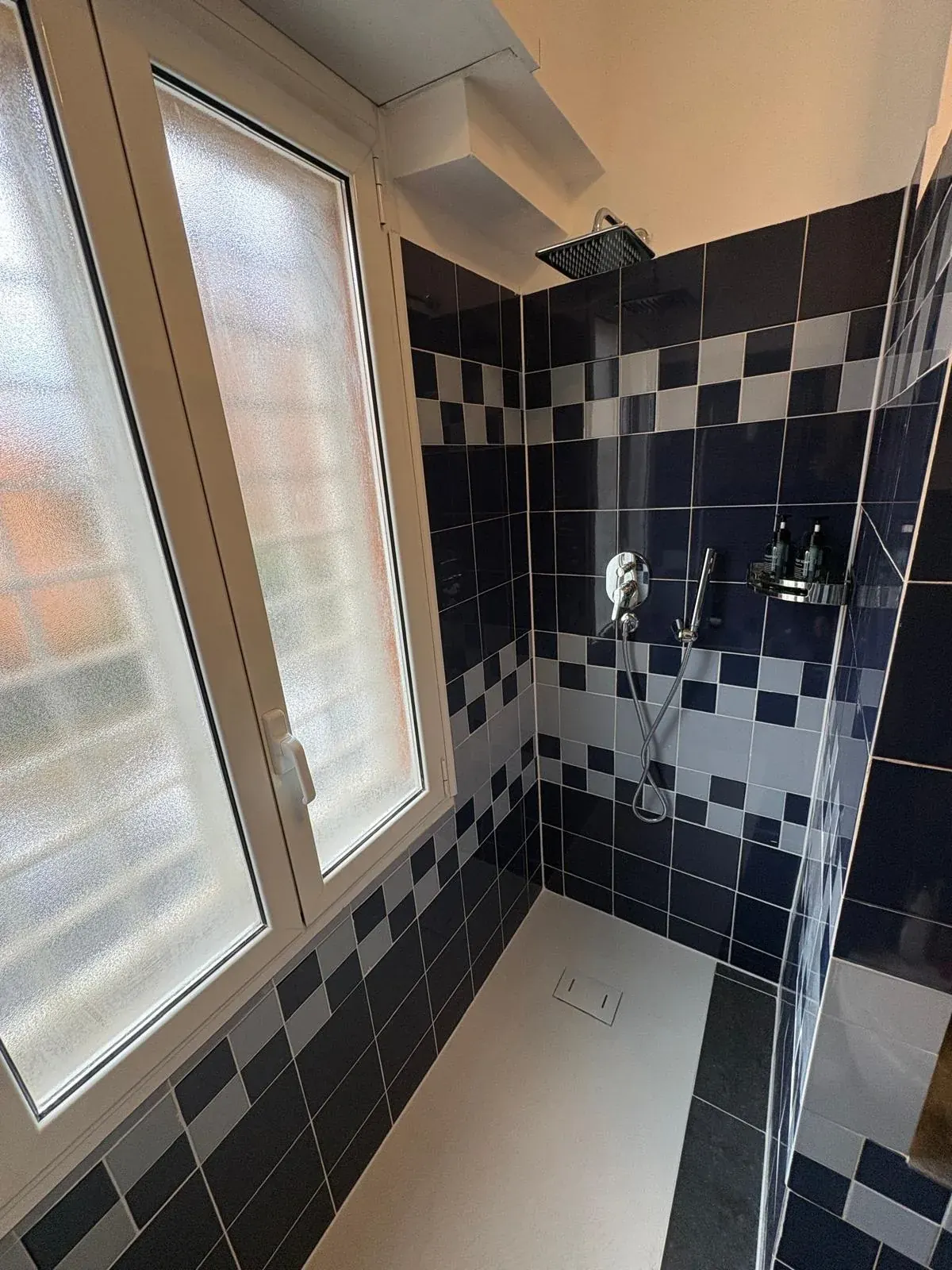 Spacious shower · Courtesy set